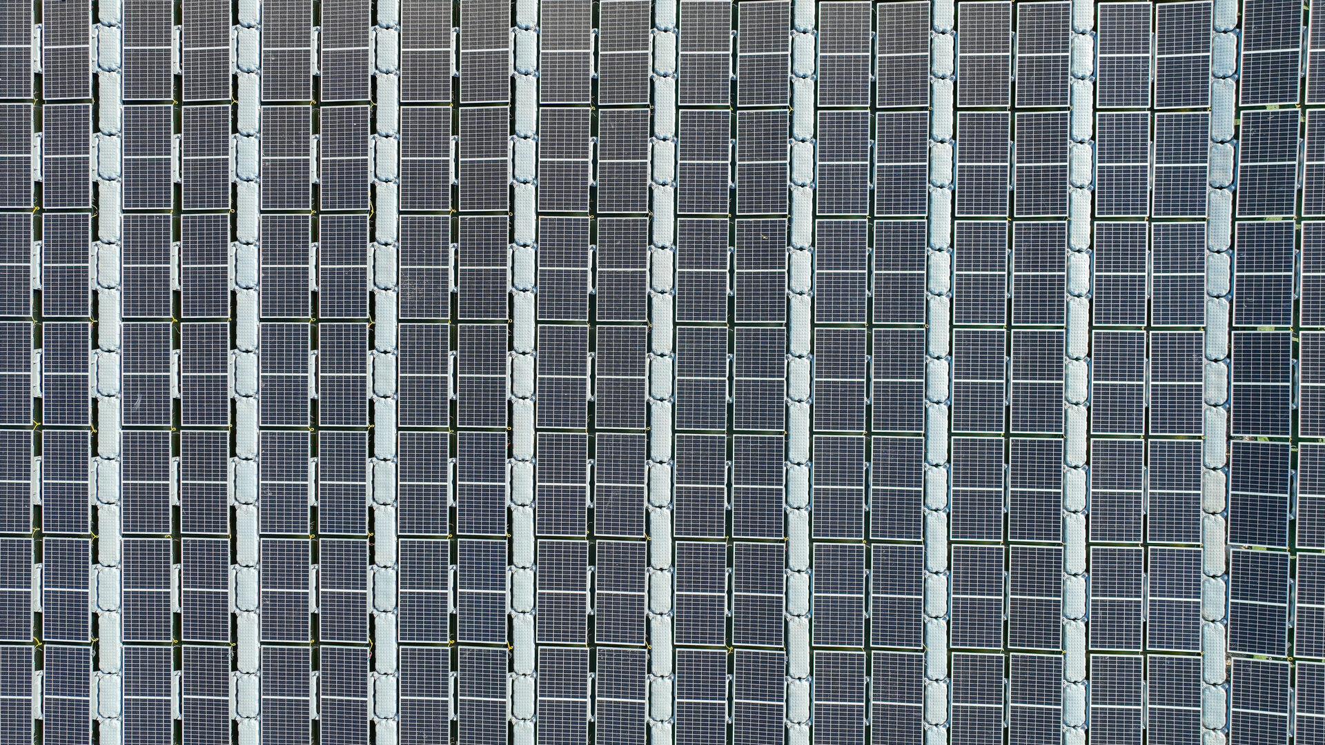 Lohmi Fish Farming Project - 10