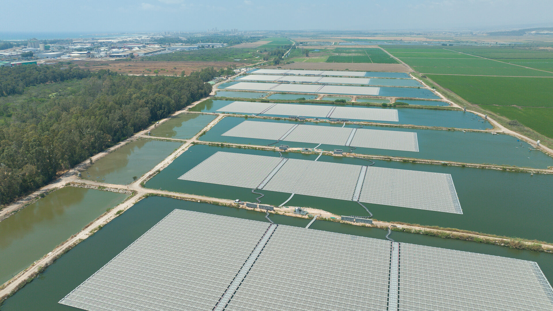 Lohmi Fish Farming Project - 12