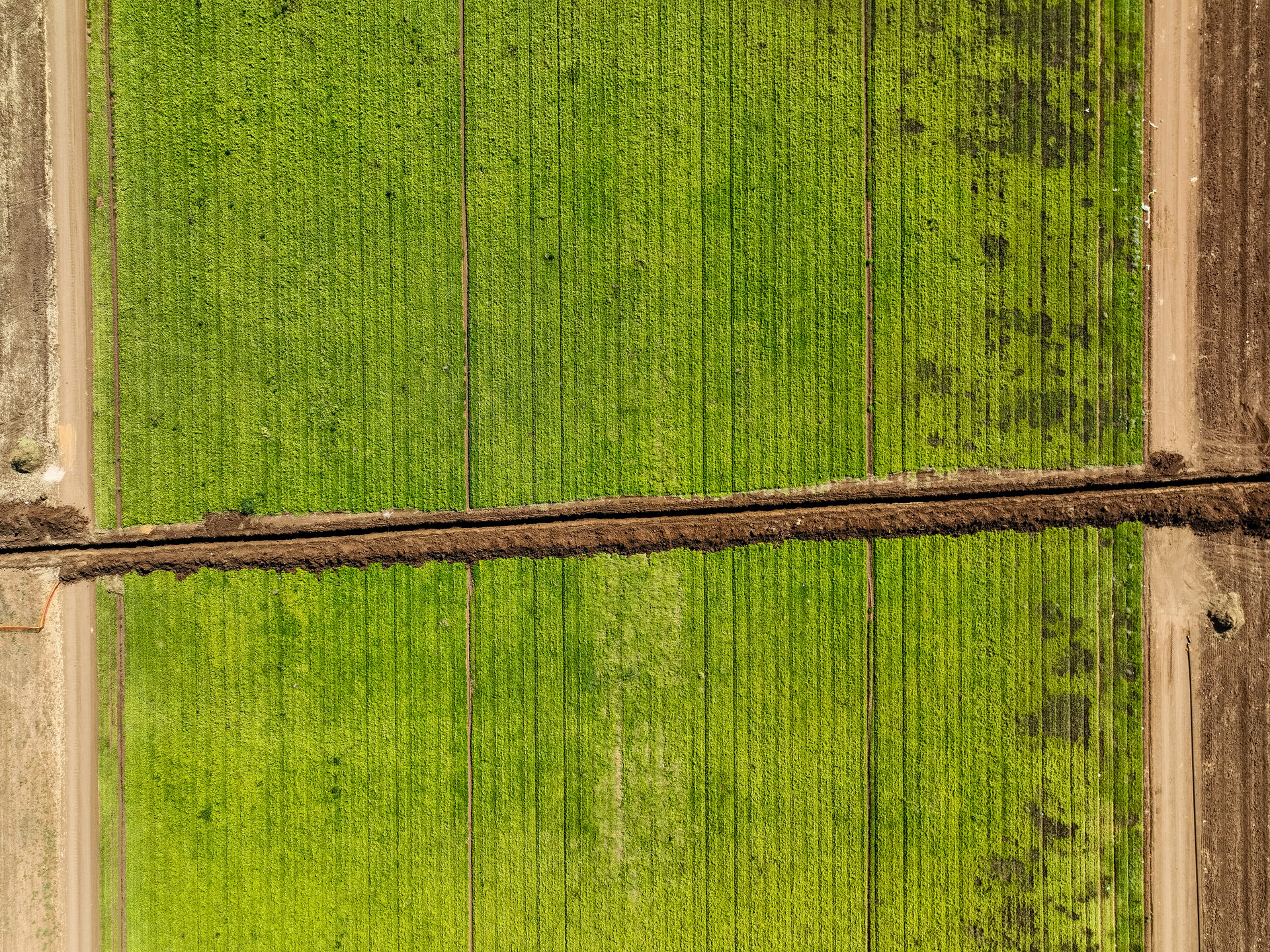 Yassef Greenfield Solar Project - 9